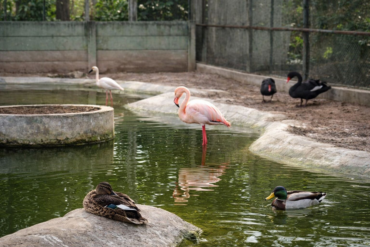 mangalam-yatri-bhawan17